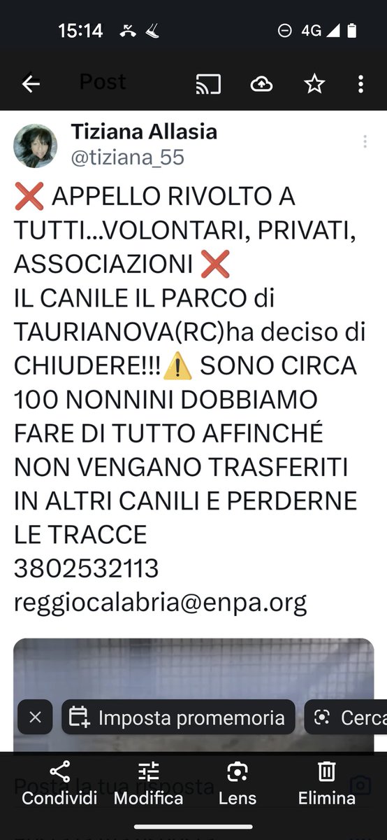 IL MIRACOLO DI VARSAVIA, POTREBBE RIPETERSI A TAURIANOVA (RC)
SONO  100 NONNINI, DOBBIAMO FARE DI TUTTO, AFFINCHÉ NON VENGANO TRASFERITI IN ALTRI CANILI, PERDENDONE LE TRACCE.♥️🙏🆘😪
info 380 253 2113 GRAZIE