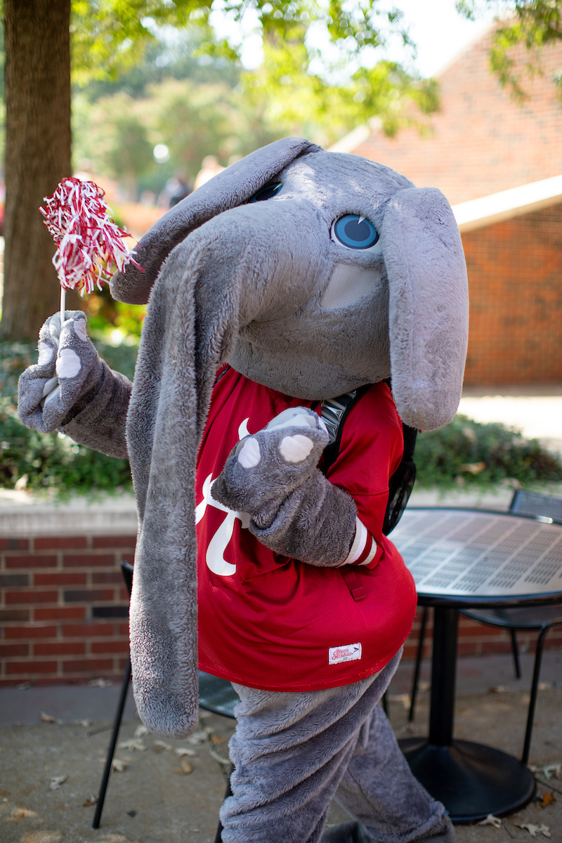 UofAlabama's tweet photo. 2οΈβ£0οΈβ£2οΈβ£4οΈβ£ π€ FDOC β Welcome back, students! Weβre excited to see you flourish this Spring! π€ The new year brings new goals + new challenges, but your UA fam remains the same.β€οΈπ We just know youβre gonna crush this semester! #RollTide https://t.co/QObK0px5yX