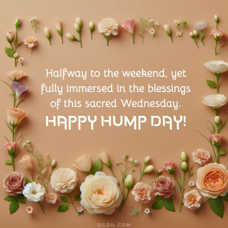 Kim Lawrence (@kimlaw1956) on Twitter photo 