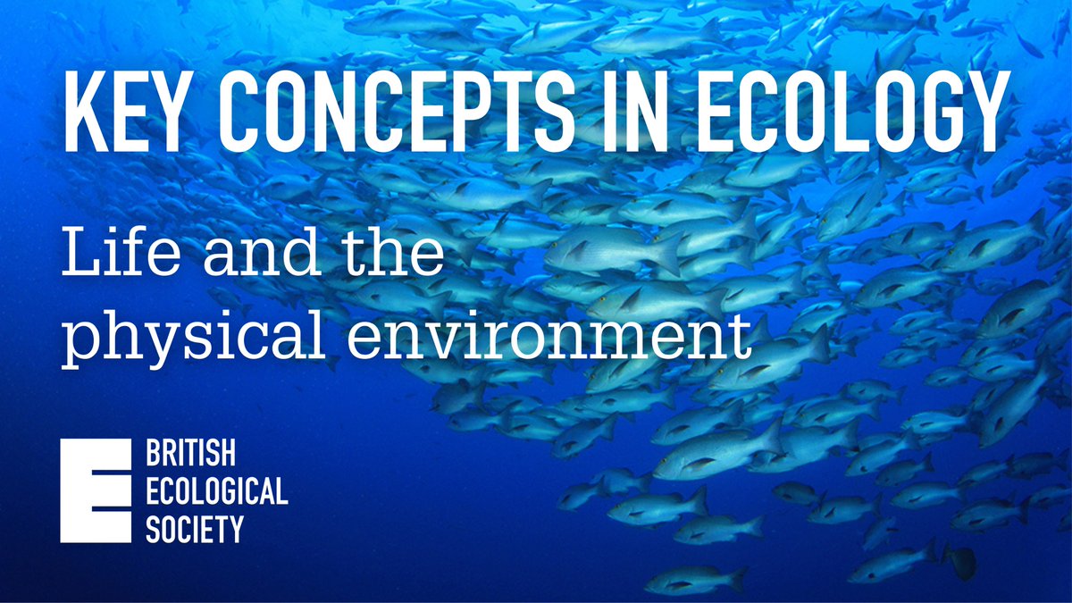 🚨 New #KeyConceptsInEcology blog out now!

Check out our introduction to Life and the Physical Environment below, written by @Nate_J_Sanders, as well as a handy reading list 📚 🐟

👇
appliedecologistsblog.com/2024/01/10/key…