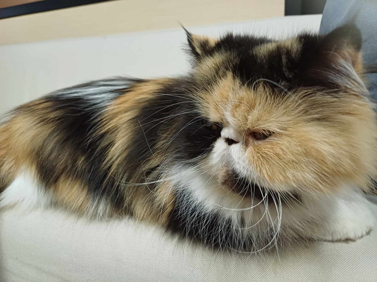 NARATHA - Wishlist on Steam! tweet media