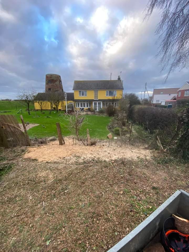TreeServiceHull tweet picture