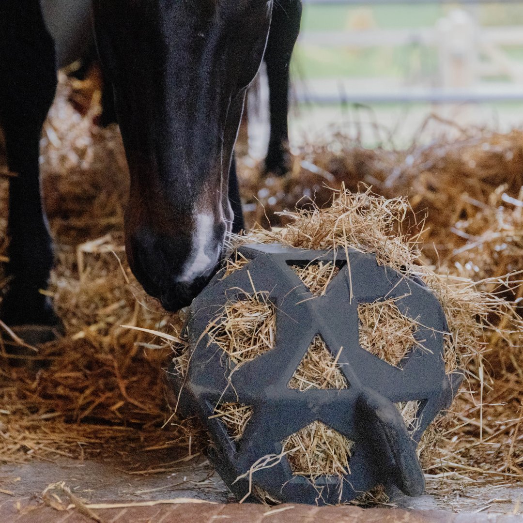 ✨NEW IN✨ The Relax Hay &amp; Play Ball from Kentucky...

The perfect solution for boredom in the stable and field!
Designed to entertain your horse for hours and help slow down horses who rush their forage!

#Equestrian #Equiport #KentuckyHorsewear #Horsewear #Horse #Stable