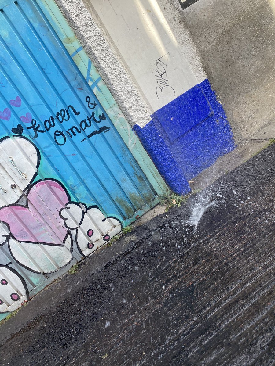 SoniENunezBal's tweet photo. @Luis_GQM y @ALaMagdalenaC nueva fuga en Benito Juárez en San Nicolás. Detrás del kinder María Chacon https://t.co/NpBCKxkXBE