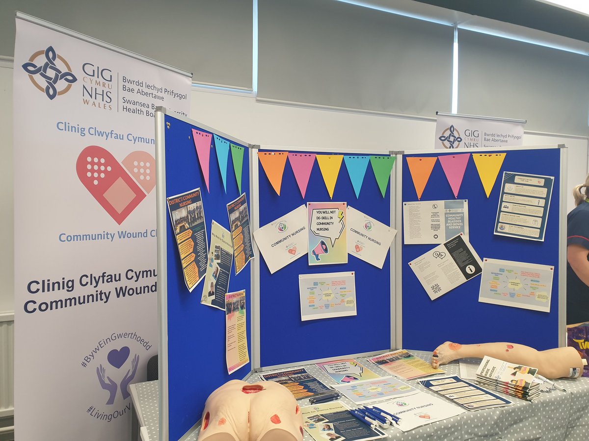 Cat Rin 💙 tweet media