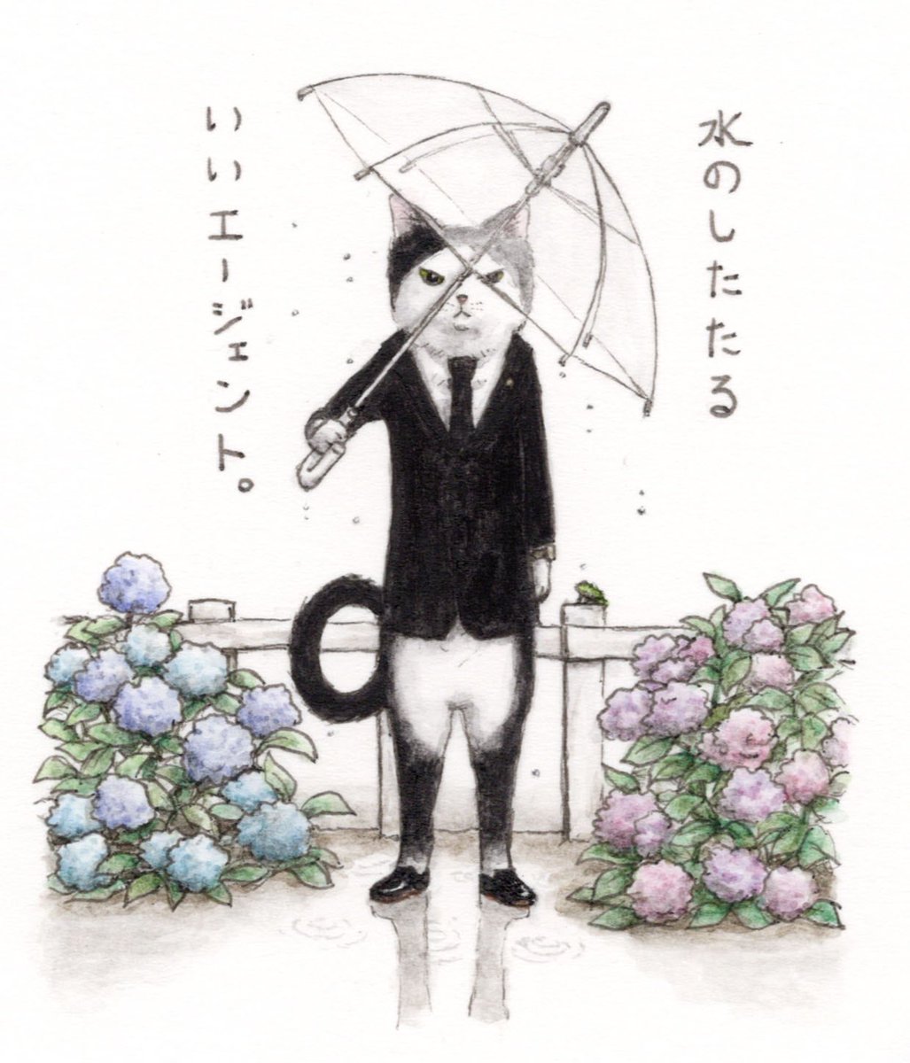 『エージェントは雨の日だって休まない😼☔️🐸』
#キミとダスキス  #過去絵 