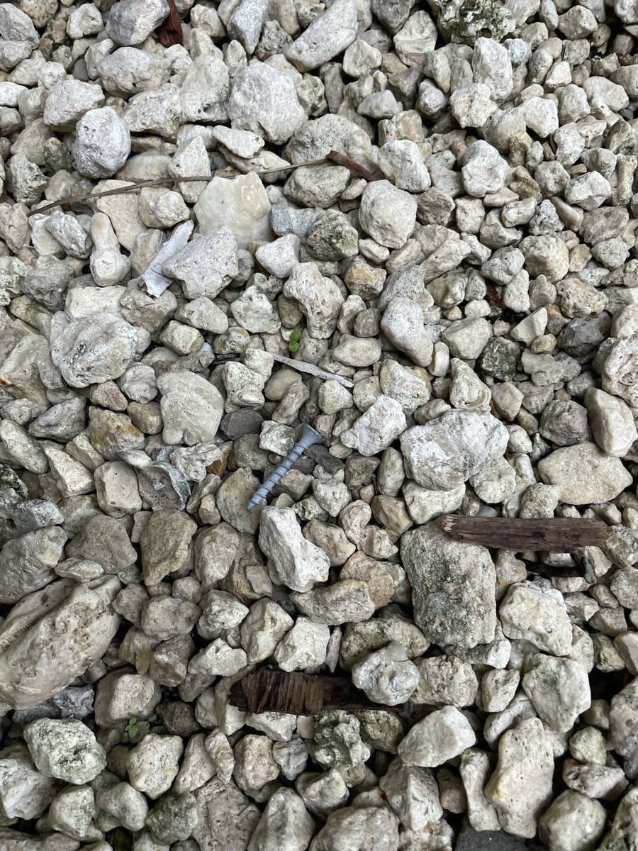 klcarr892's tweet photo. @SureAsMel @Airbnb I stepped on a nail at my @Airbnb two years ago. Went right through my foot. Proceeded to find a dozen or so more. Host said he would have “maintenance check next time they were out”. Needed tetnus shot and x-ray. Host refused to pay for medical bills. https://t.co/821GH19gtl