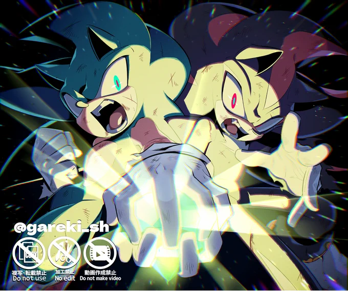 CHAOS CONTROL #sonadow