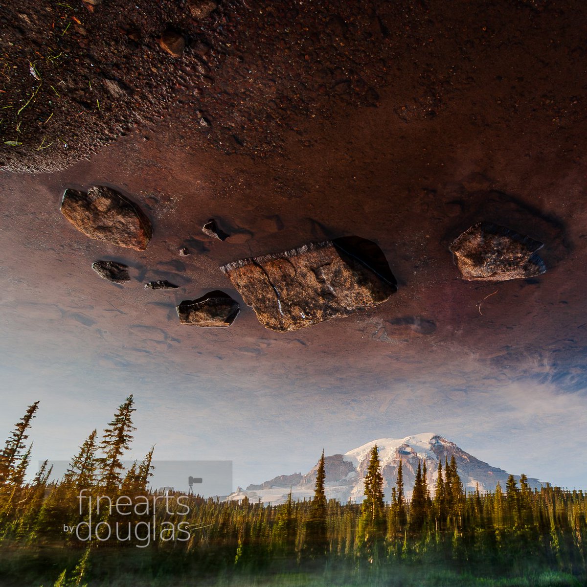 ngdouglas's tweet photo. #HappyHumpDay, in this strange day in time... do you believe we live alone in the #universe?#photography #photo #mountrainer #reflection #mars #alienattack #finearts #fineartsbydouglas #WeeklyHumpDayPhoto #artofcreation https://t.co/h0EGF0JggC