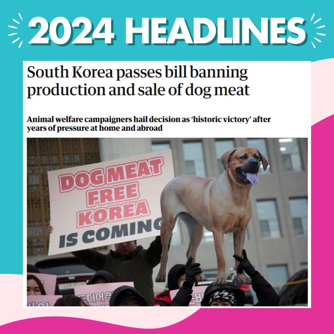 EmpoweredAshley's tweet photo. It seems that the media are finally raising awareness of the important issues going on in the world. 

Here’s some of our favourites of 2024 so far… #bbcnews #skynews #eveningstandard https://t.co/9hSMUqK9Ht