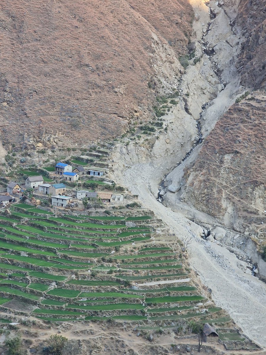 bimalrocks tweet media