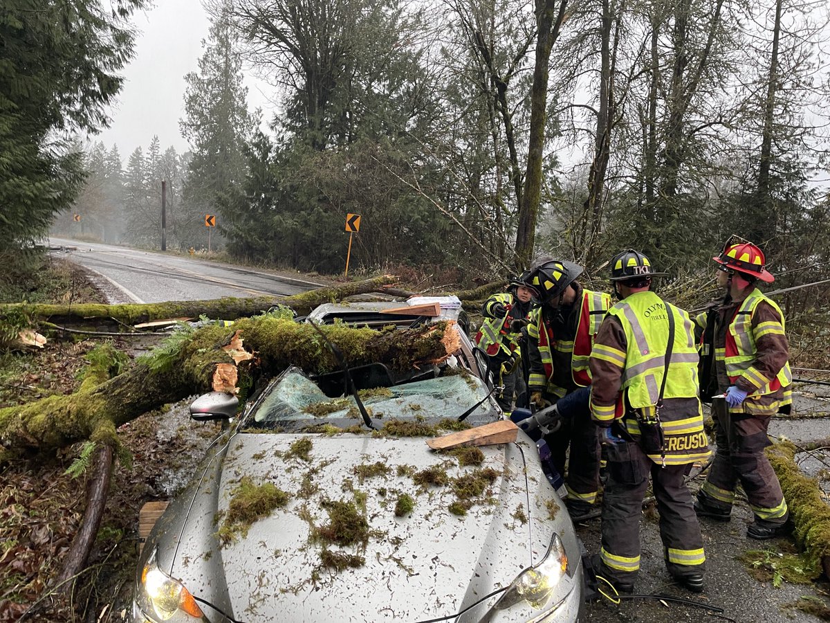 The Olympia Fire Department responded to many storm related calls yesterday. The most serious being a tree on to an occupied passenger vehicle. The driver was extricated and transported to a local hospital for care.