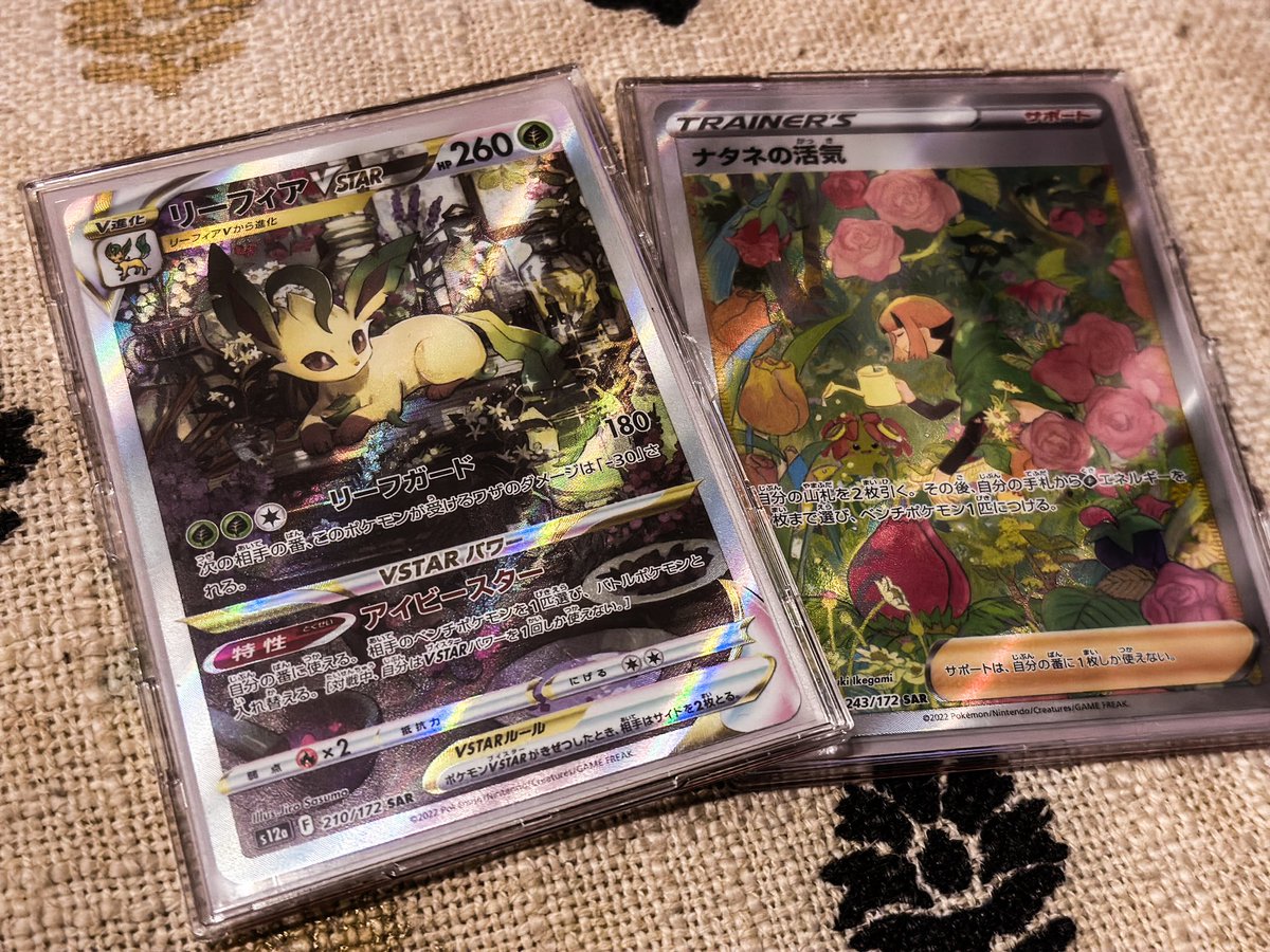 Ta_pa_K's tweet photo. この間フシギバナ買ったせいで、
緑族の虜になってしまったのだ���😌🌱 https://t.co/FWMrb13MCy