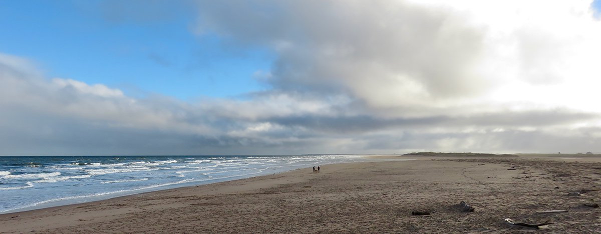 tweedtotyne's tweet photo. Some of the sights from a fresh and exhilarating beach clean at Goswick in #Northumberland this morning @coast_care @northcoast_nl https://t.co/GTkn42iGJ9