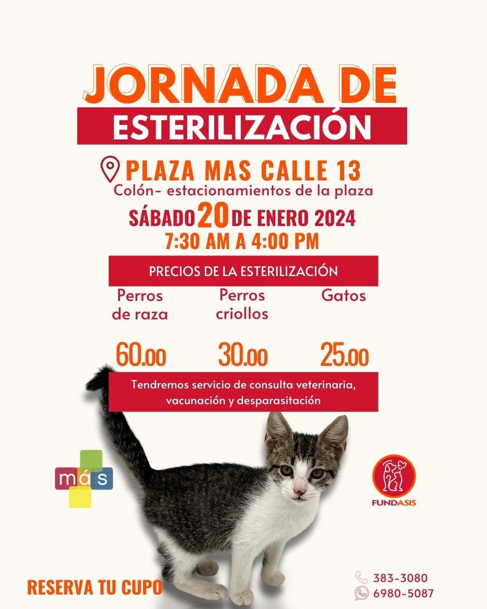 Fundación San Francisco de Asís ( FUNDASIS ) tweet media