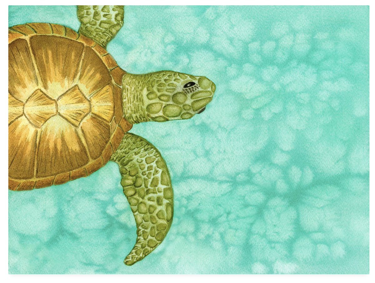 #seaturtle #turtlepainting #underthesea #coastalart #AYearForArt #ArtMatters #wallart #beachhouseart #tropicalstateofmind #seacreatures #BuyIntoArt #sealife #beachvibes #animallovers #turtles #homedecor #art #watercolor #painting #watercolorpainting 
ART - deborahleaguefineart.etsy.com/listing/719012…