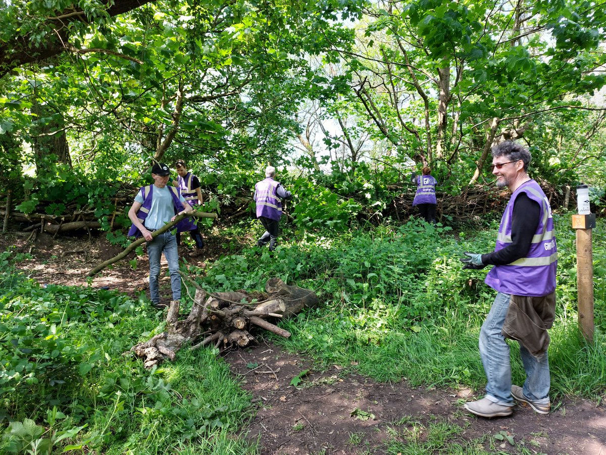 Parc Bute tweet media