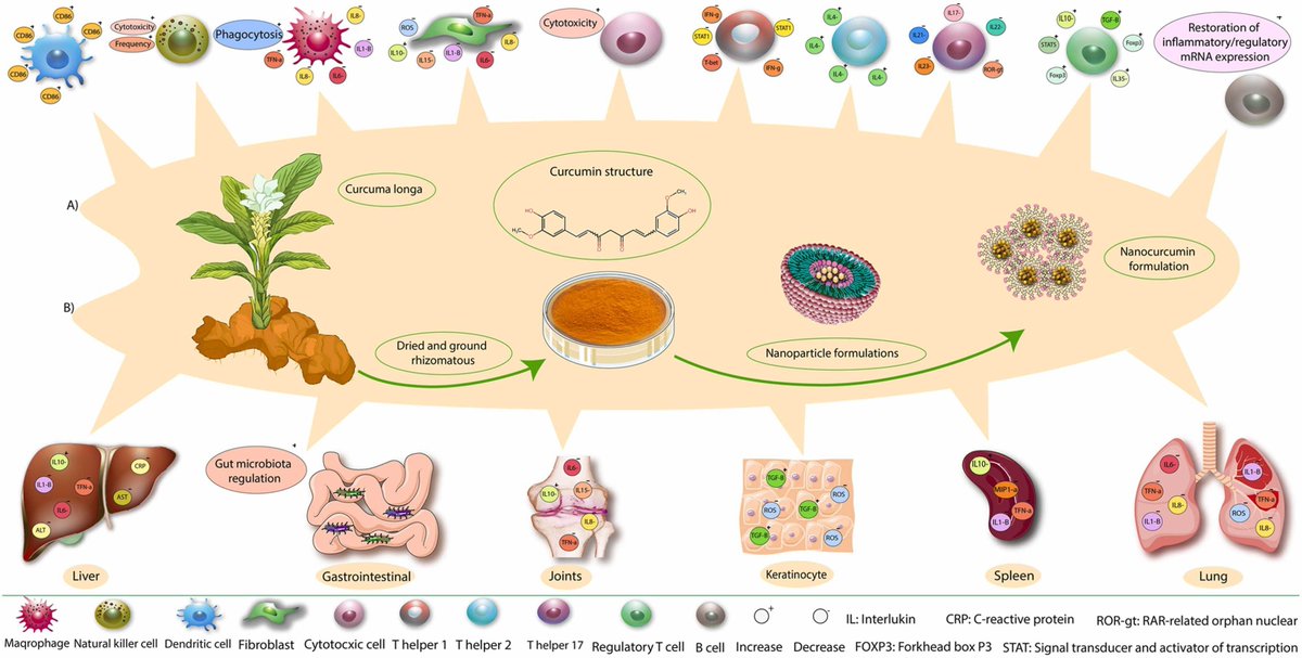 Summary of the potential mechanisms of action of #curcumin nanoformulations in different conditions.