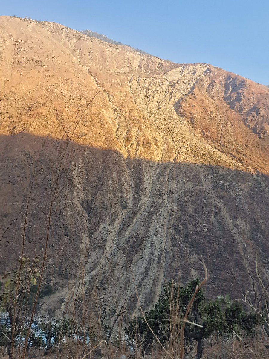 bimalrocks tweet media