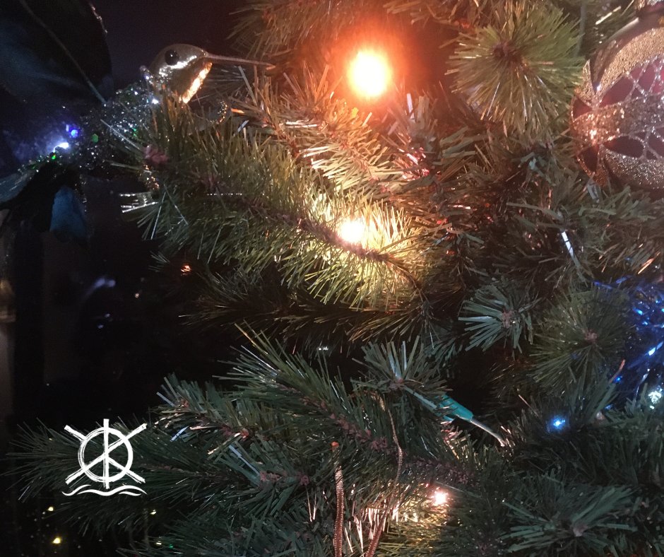 To brighten this dark time of year we keep the Christmas lights on our (very nice, artificial) tree all the way through to Imbolc and Candlemas at the start of Feb. Seems they did this in medieval times and it was the Victorians who said it was bad luck. So says English Heritage.