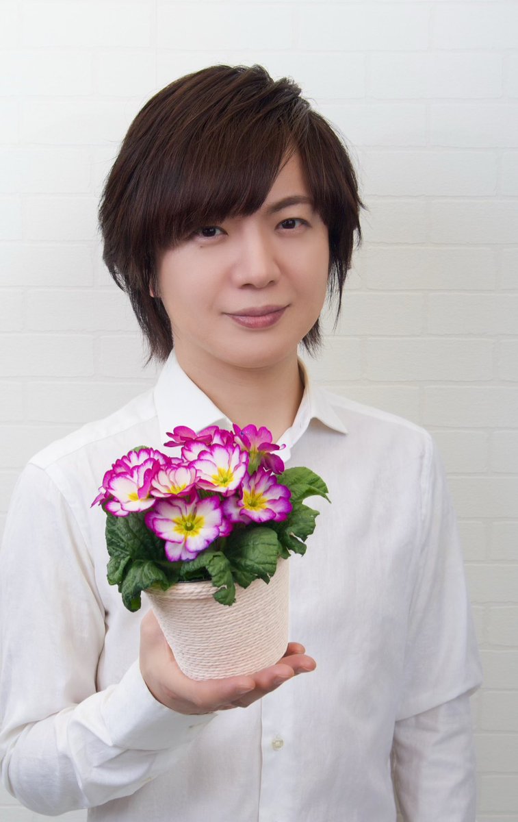 takeshima_staff's tweet photo. "プリムラ・ジュリアン"

　　　花言葉は

　　「永遠の愛」

花のパワーってすごいなと...
心のざわつきを吸い取ってくれる。
皆さんの平穏無事を祈ります。
今日も１日お疲れ様でした。
#ひろネット #絆 #祈り #花 https://t.co/9x6D7hn3lZ
