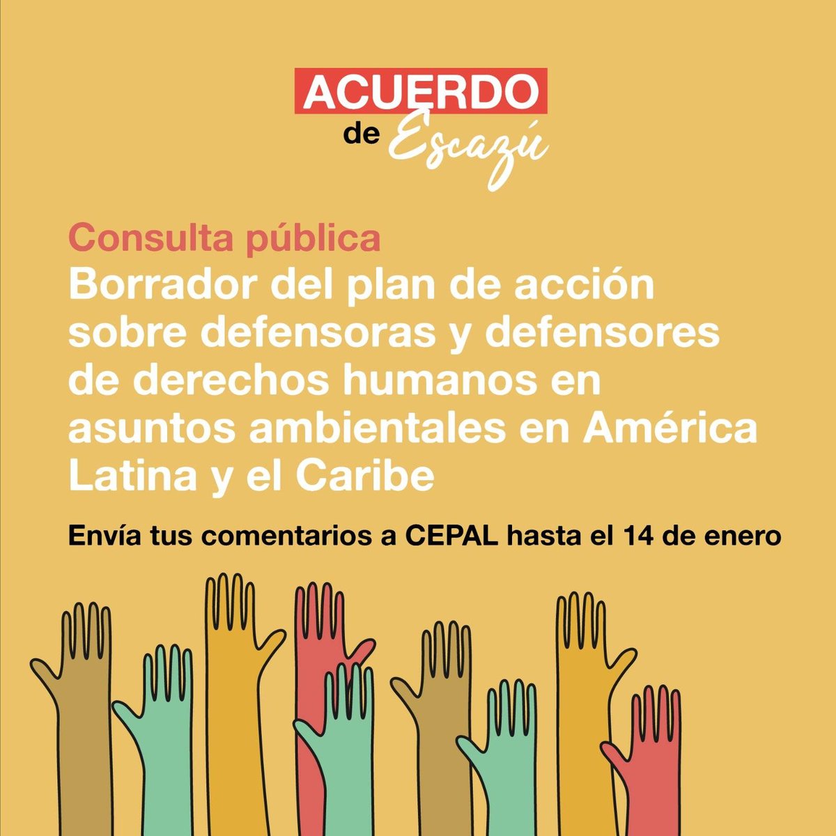 ONG FIMA tweet media