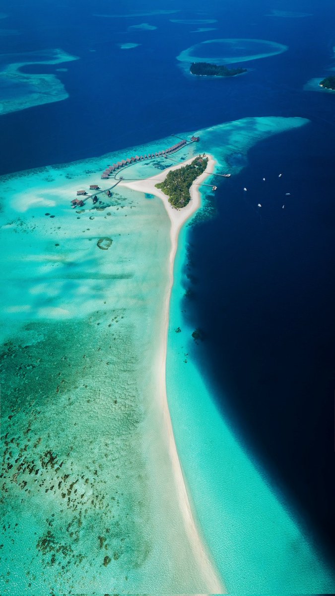 Maldives Tourism tweet media