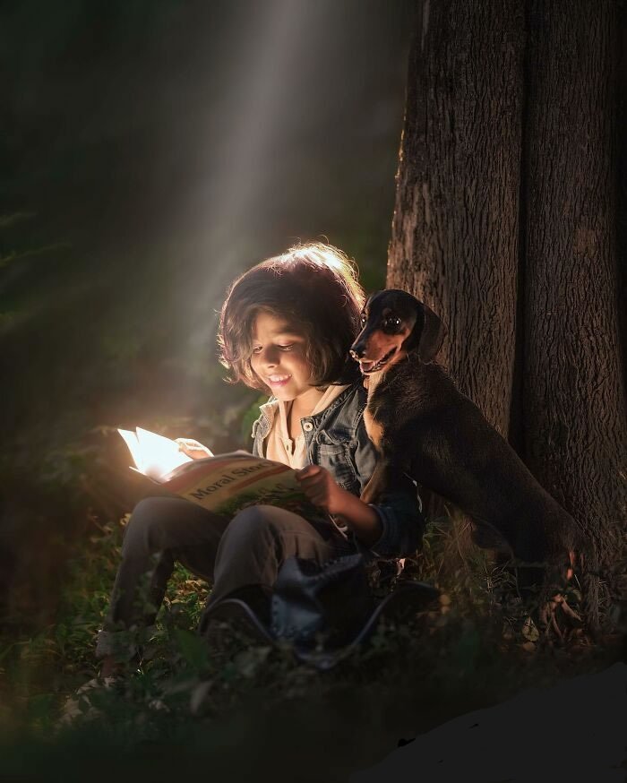 rs_artecasa's tweet photo. Evening ✨️ https://t.co/FPnD20z6fH