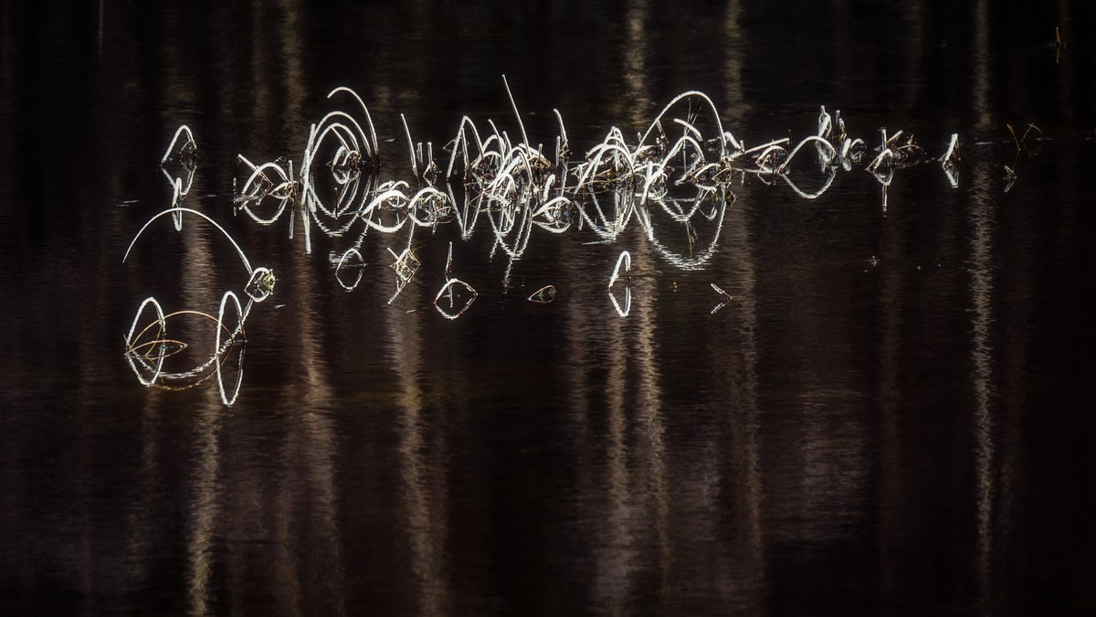 mark littlejohn tweet media