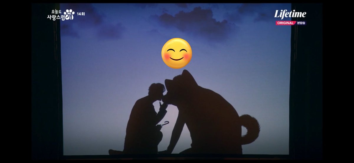 master_EW_'s tweet photo. 안녕 서원쌤 안녕 오사개🐶🐾 
덕분에 행복했어 
#라이프타임 #오늘도사랑스럽개@LifetimeKorea https://t.co/70xfwfGPqW