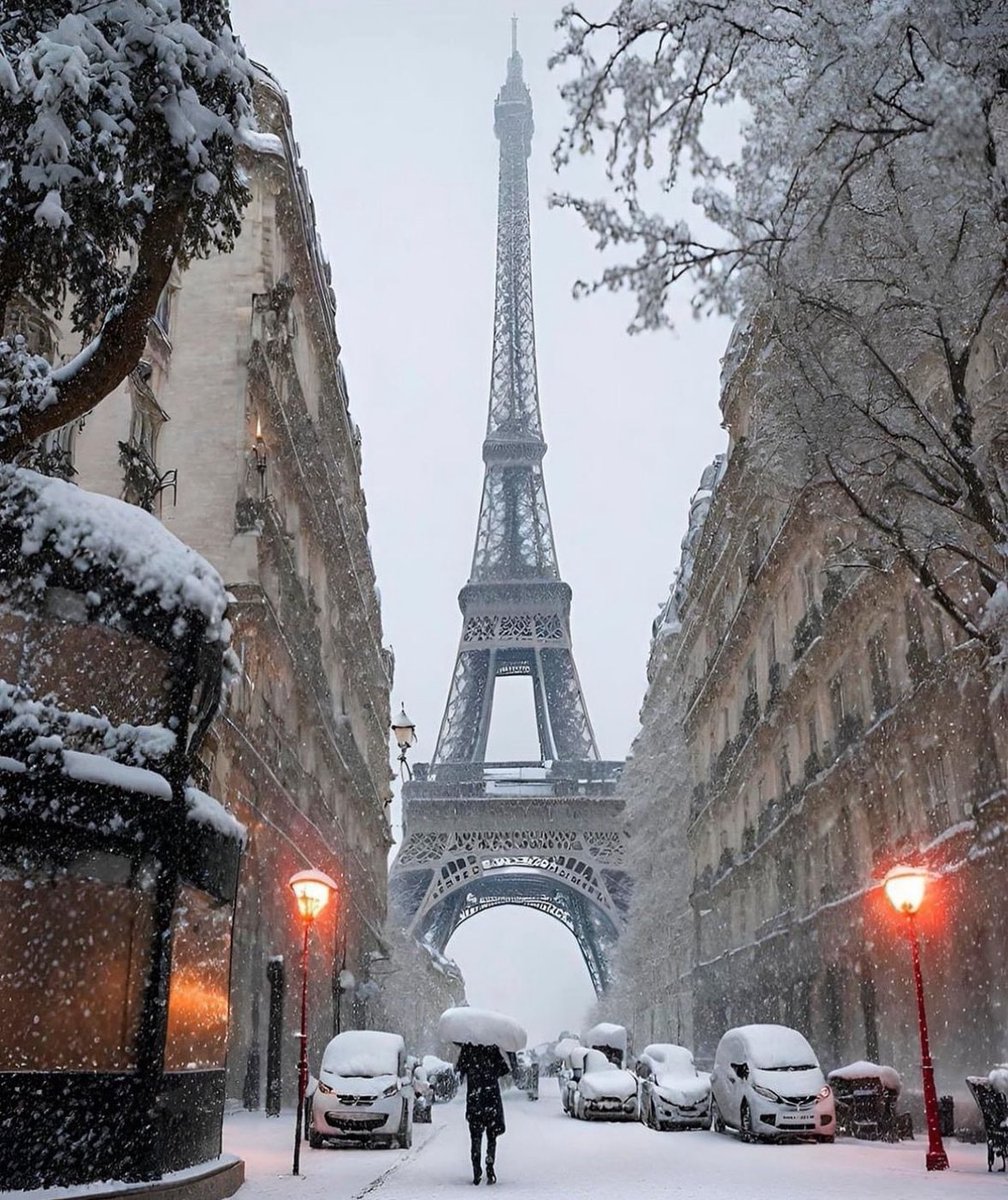 OfficialPLT's tweet photo. Winter in Paris 🤍 https://t.co/MD6Ysty0VX