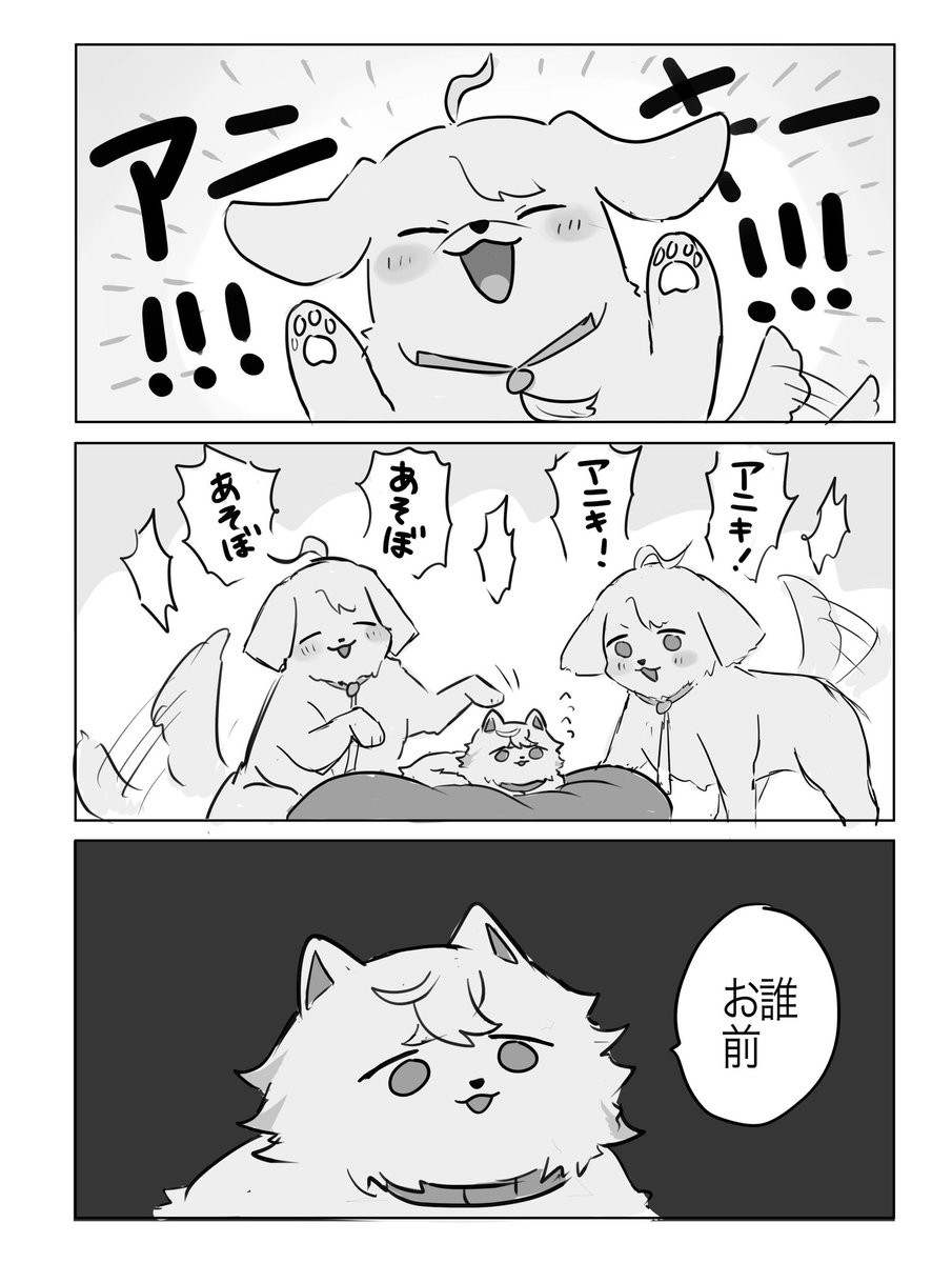 アニコブ