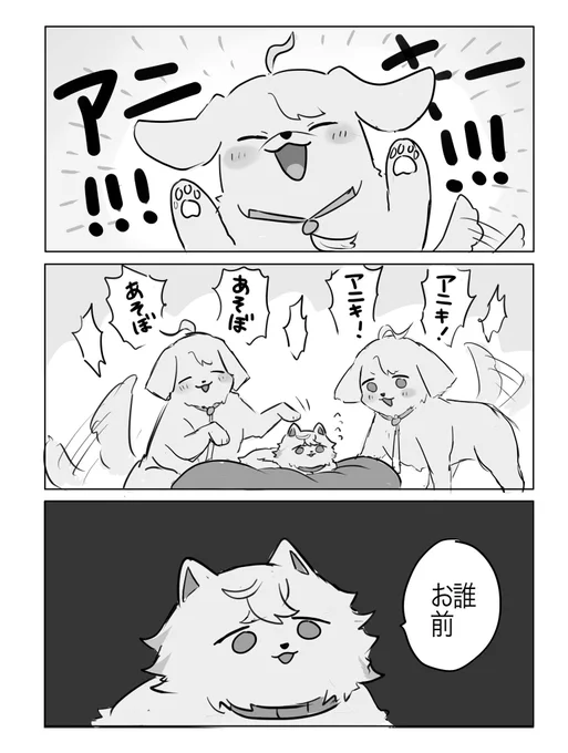 アニコブ 