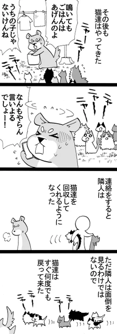 四コマ「祖父んちの隣人が多頭飼育崩壊した話17」
エンドレス猫。

#御かぞくさま御いっこう #猫 #四コマ漫画 