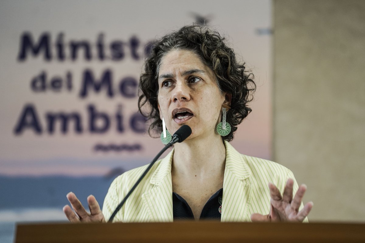 Reunión en casa de Zalaquett: ministra Rojas cifra más de 10 asistentes y descarta diálogo sobre “algún proyecto en particular” bityl.co/NUYR