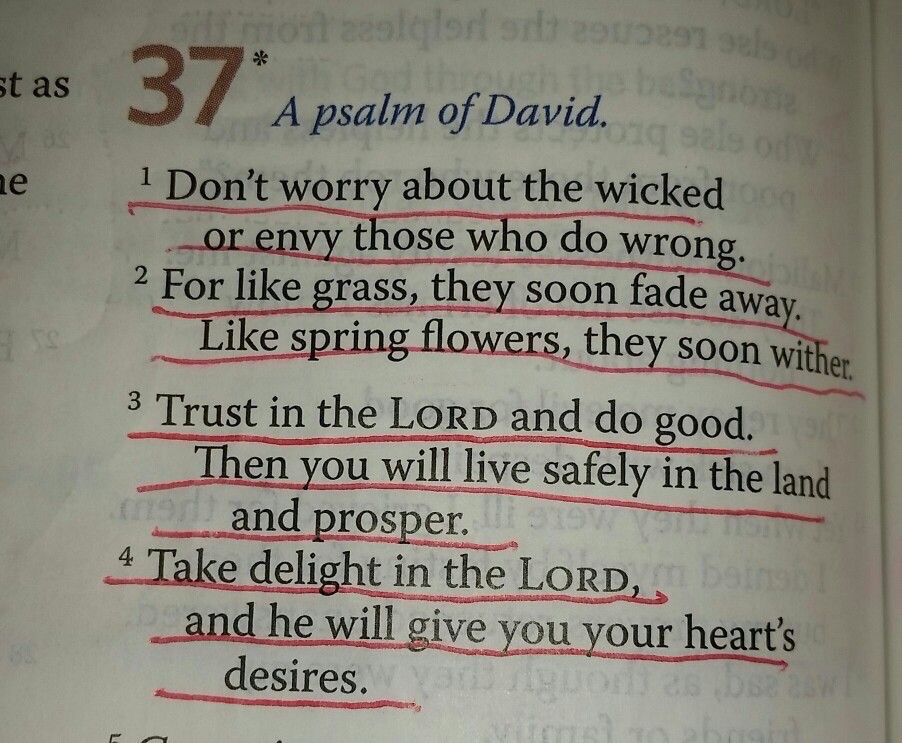 MartiReyna2's tweet photo. Psalms 37:1-4 https://t.co/faJBRzJg8H