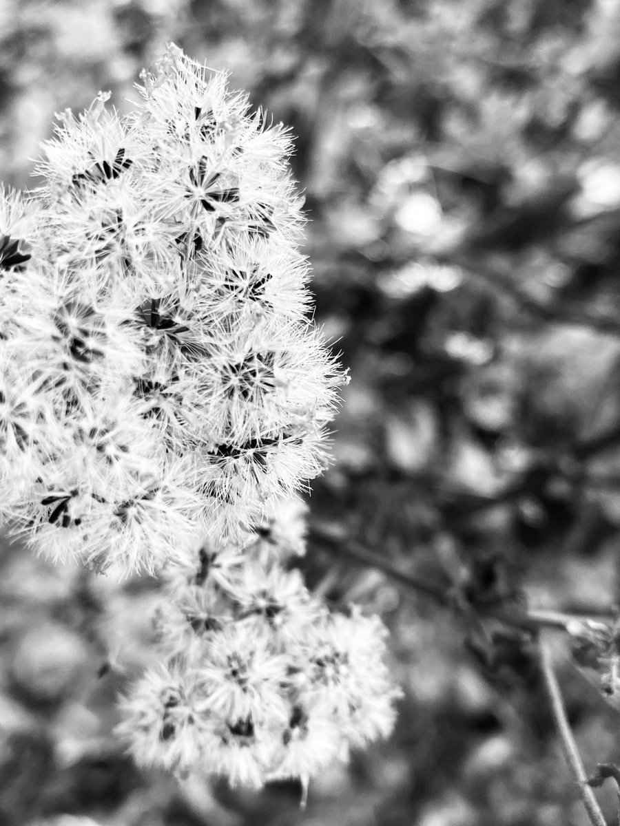 EmSS_4's tweet photo. @tomlin_bruce #SomethingSoft https://t.co/M87jkL1007