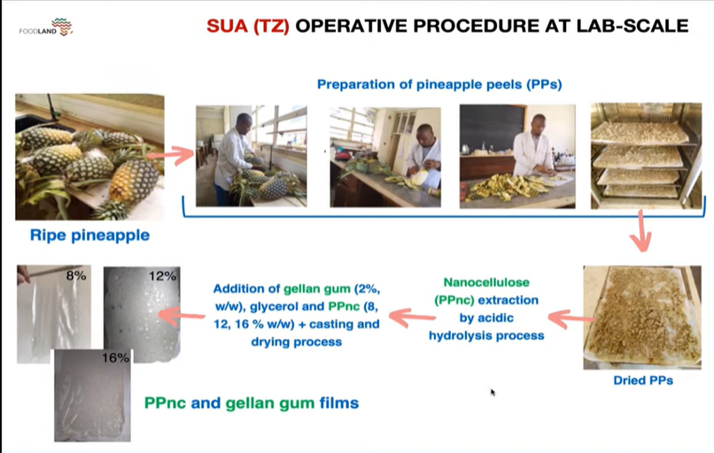 FoodLANDafrica's tweet photo. S. Romani @Unibo reported the realisation of bio-based #packaging prototypes able to preserve the overall quality of food products. Characterisation of the materials have been carried out at lab-scale, now it is the turn of validation on an industrial scale #foodafrica #Helsinki https://t.co/QfmtNkfmMa
