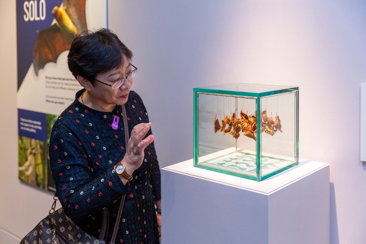 stevehollinger's tweet photo. Photo by Kathy Tarantola
Peabody Essex Museum
© 2024 https://t.co/8HMAWCOVbY