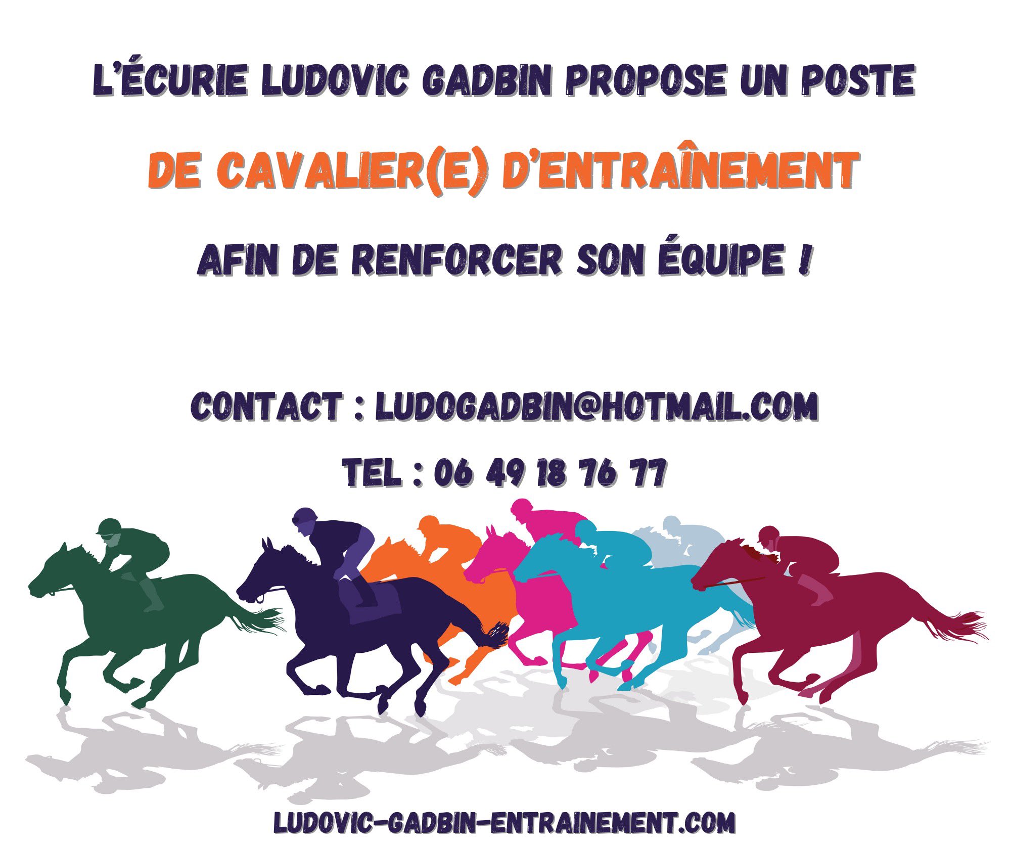 13 idées de Galop 4  galop 4, galop, galop 3