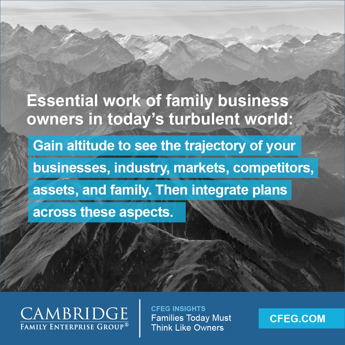 Having an owner’s mindset in today’s disruptive environment means excelling at making five types of owner-level decisions. All five are central to the long-term success of the family and its enterprise. cfeg.com/insights_resea…