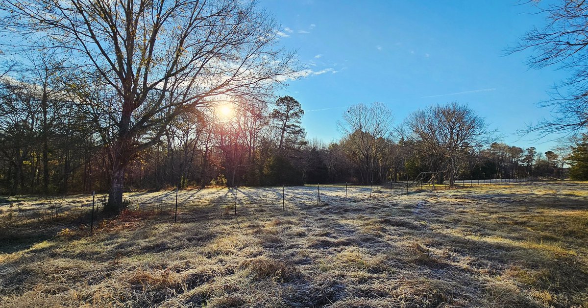 kinseyatoz's tweet image. &quot;You will call upon me and come and pray to me, and I will hear you. You will seek me and find me, when you seek me with all your heart.&quot; Jeremiah 29:12-13 ESV #seekgodwithallyourheart #pray #spendtimewithgod