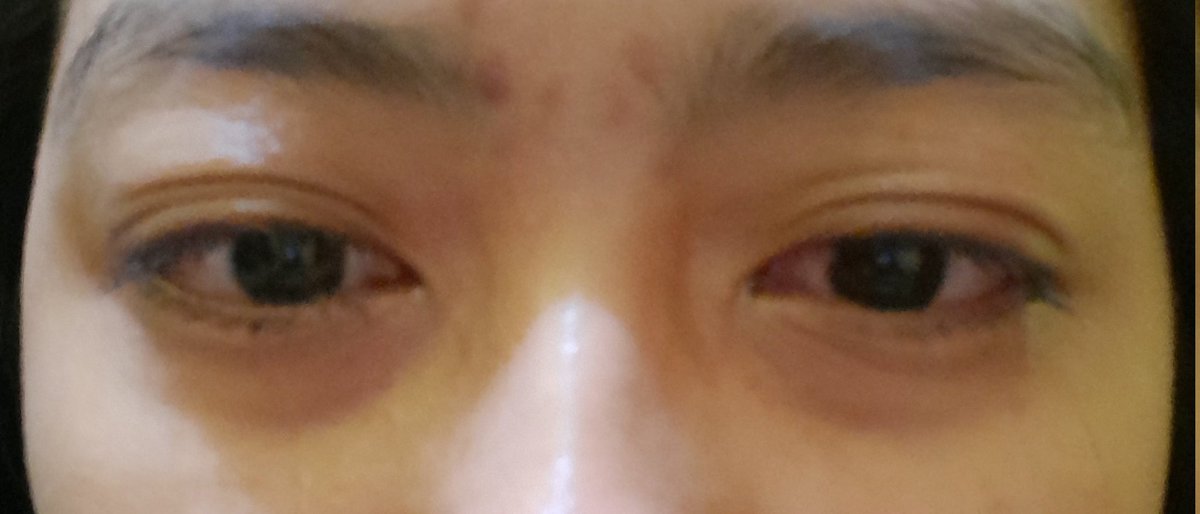 halimayrhmn's tweet photo. gue nangis sejadi-jadinya, sampe detik gue nulis ini pun masih netes air mata gue, para cat lovers tau lah gimana sakitnya kehilangan peliharaan kesayangan apalagi yang meninggal secara tragis. sumpah demi apapun gue ga bakal maafin yang nabrak mochi, selamat jalan mochi. https://t.co/EmDRBnf8fP