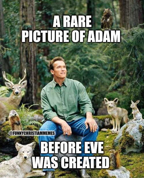 ChurchFunMemes's tweet image. 