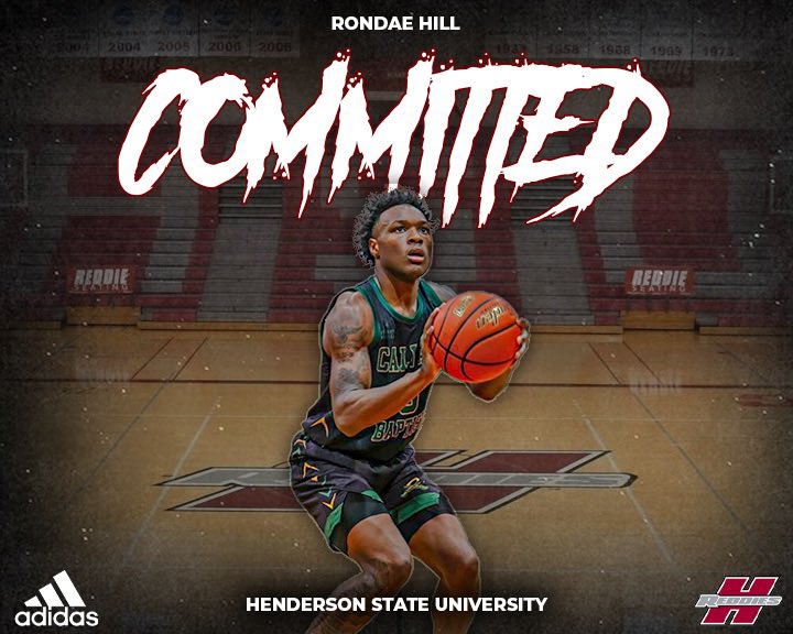 Rondaehill tweet media