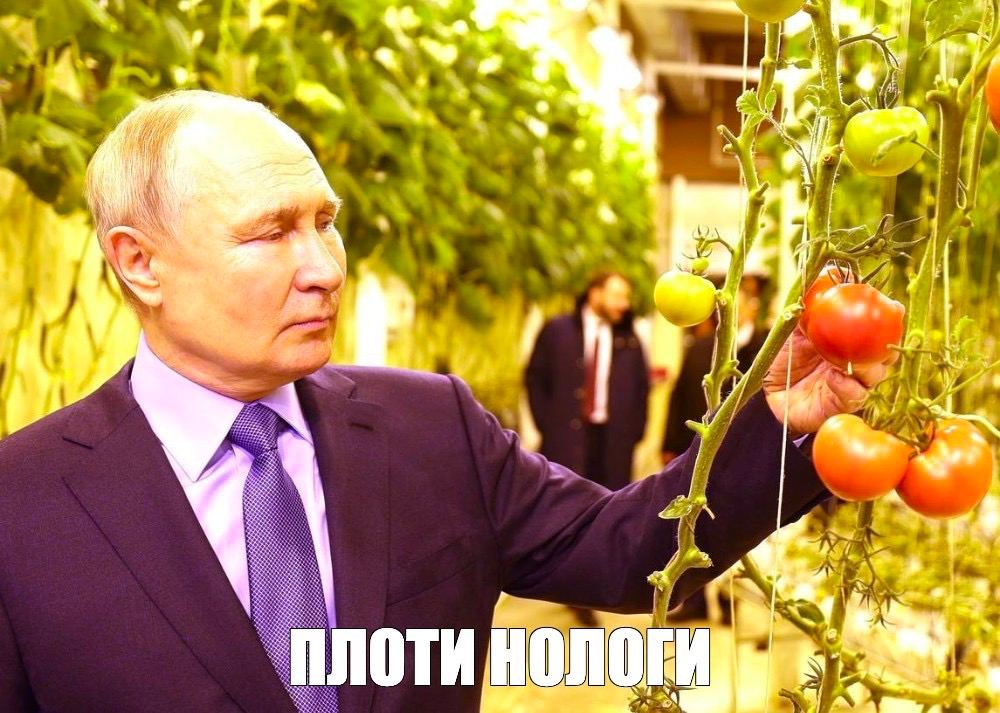 Путин впервые прилетел на Чукотку и посетил огороды