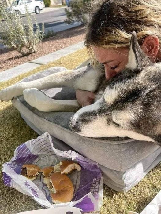 Tweets of Dogs tweet media