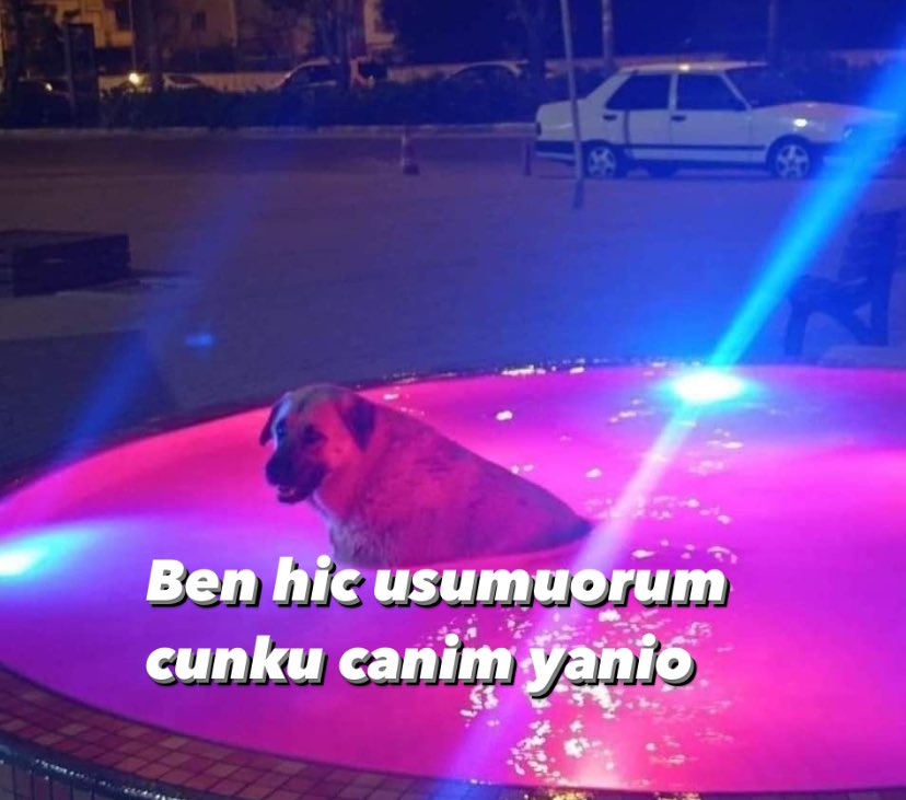 e11 (@ee1if) on Twitter photo 