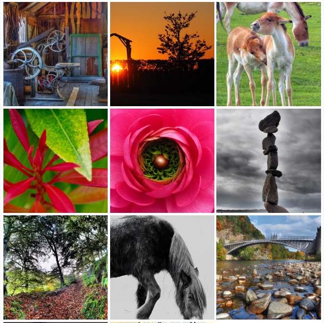 Lots To Look Forward To... #NatureBeauty #Scotland  #landscapephotography #pictures #History #scottishlandscape #StormHour #SmallBusiness 
shop.photo4me.com/1277982
#BuyIntoArt #AYearForArt 
obt-imaging.pixels.com/featured/scotl…
#Leisure #workout #fitness #HealthyLiving 
redbubble.com/i/canvas-print…