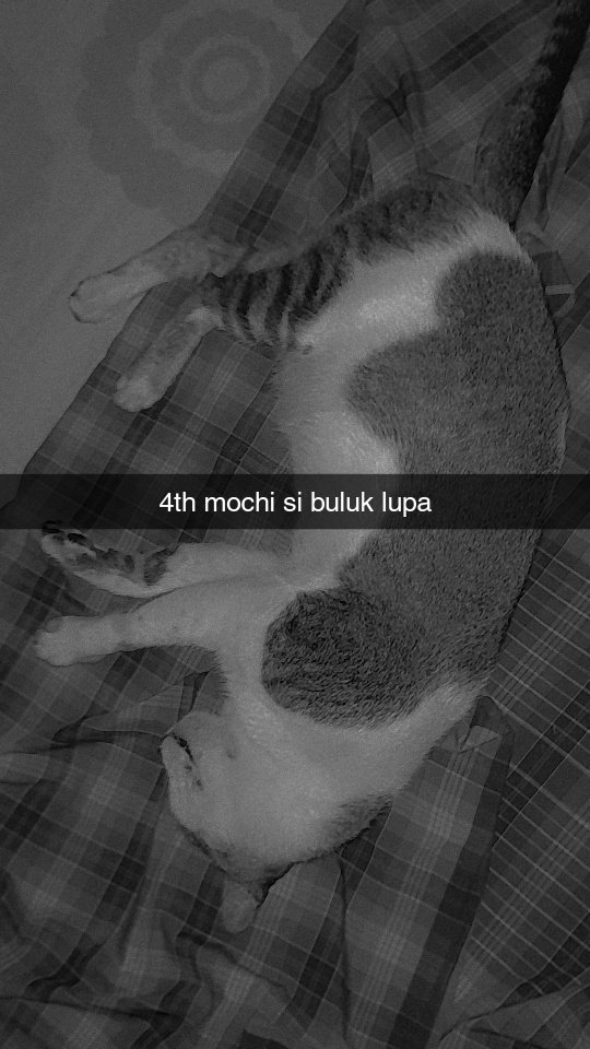 halimayrhmn's tweet photo. padahal baru ulang tahun kamu ci, 32 tahun ya ci. https://t.co/h8GeZ72uuO